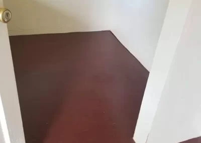Cleaning Specialists (2)