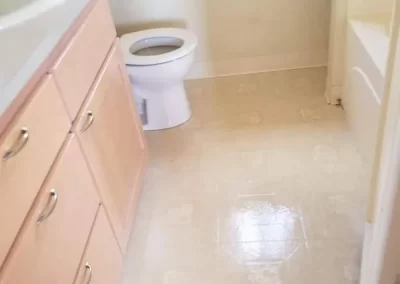 House Cleaner (2)